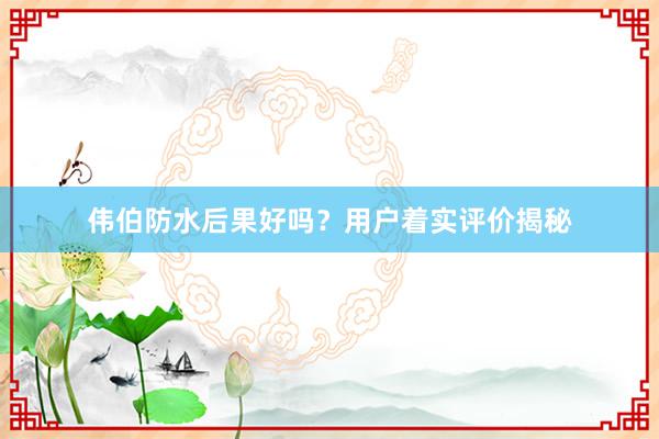 伟伯防水后果好吗？用户着实评价揭秘